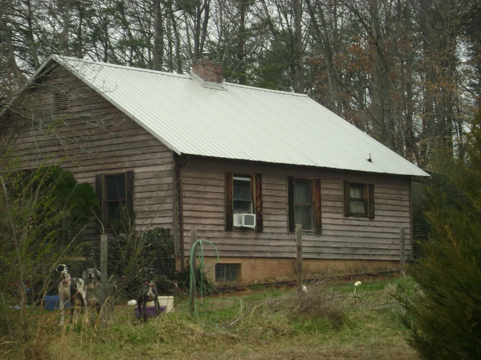 White metal roof on an old wood sided farmhouse, from a Asphalt Shingle Roof Repair job in Tres Pinos